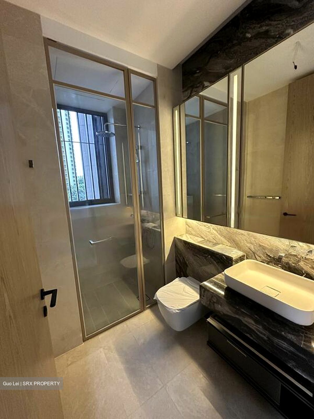 The Avenir (D9), Condominium #572755031